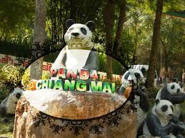 Chiang Mai Family Fun Day